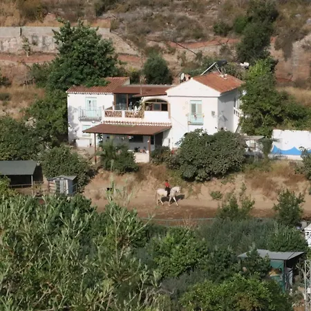 Guay Frigiliana